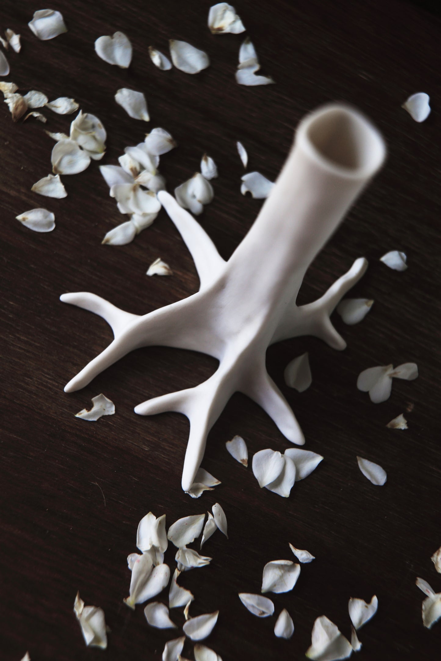 Olesya Gusachenko- White Tree Vase