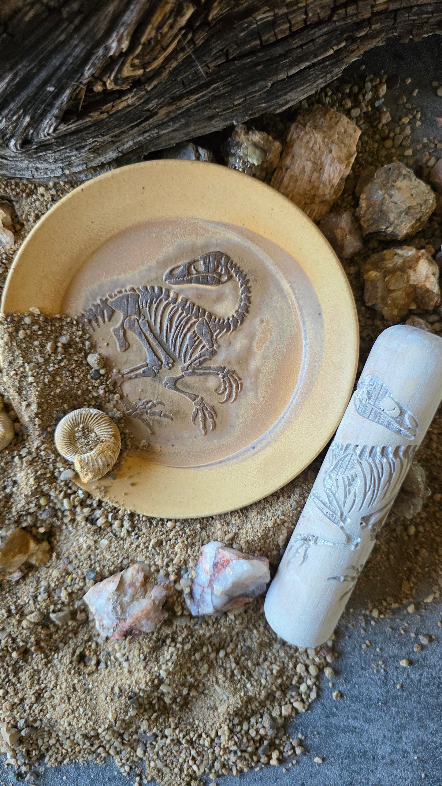 Z*Texture Roller - Fossile de tortue Archelon