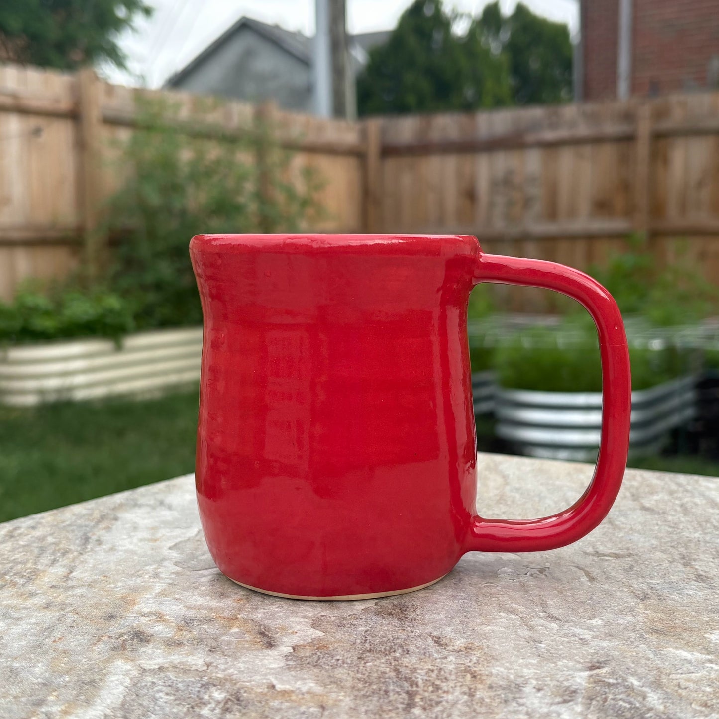 Anne Runkle- Badger Mug (red)