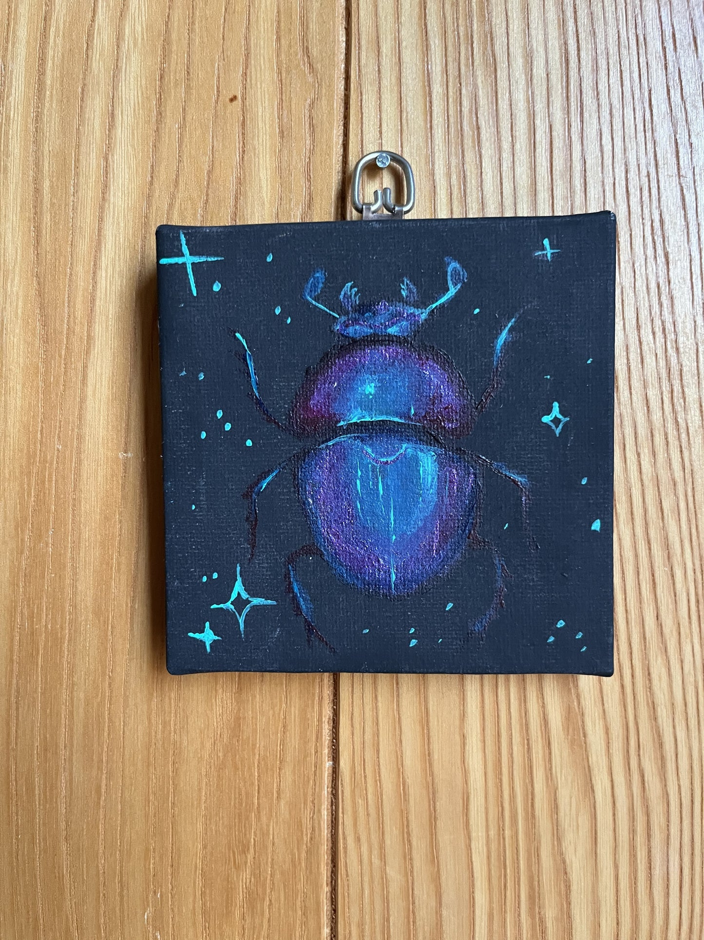 AJ Courtney- Hoplia coerulea