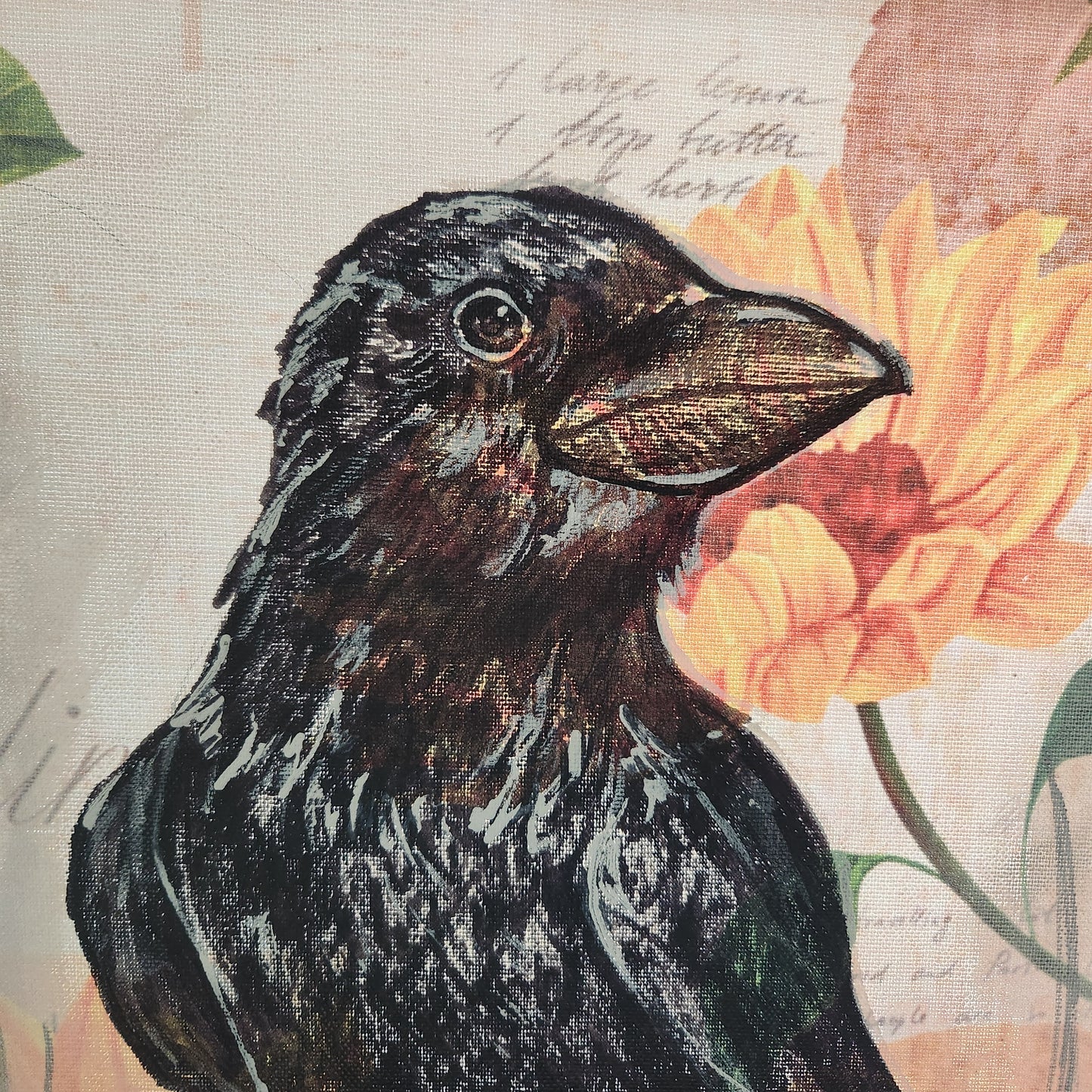 Annie O'Connell- Corvid Curious