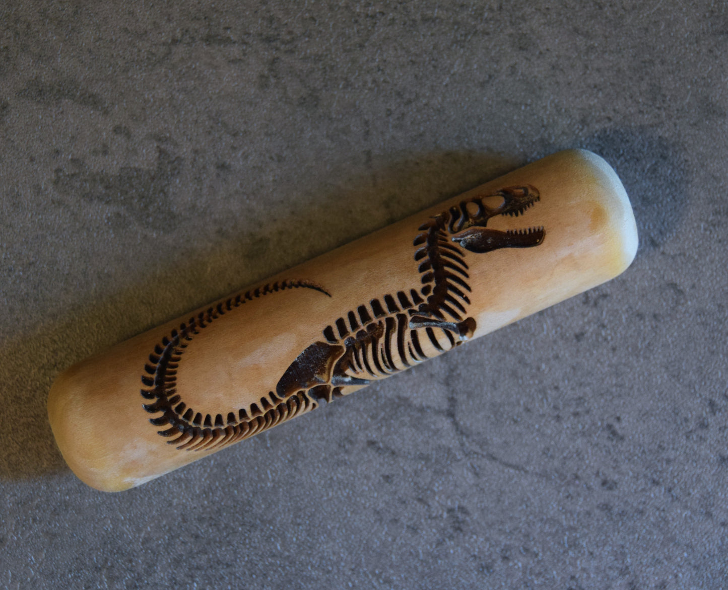 Z*Texture Roller- Allosaurus Fossil