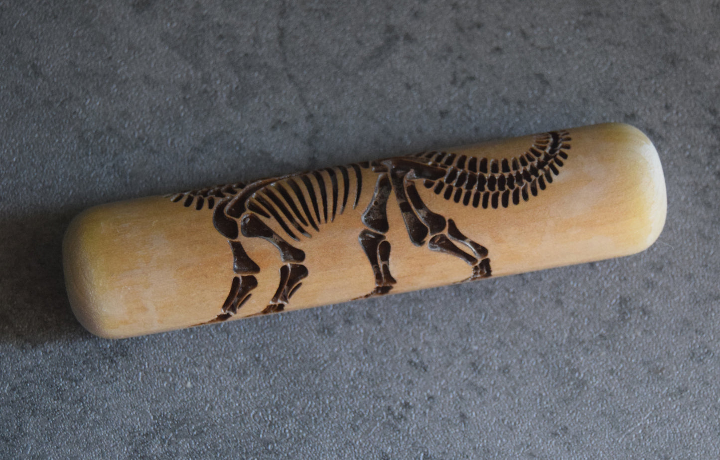Z*Texture Roller- Brontosaurus Fossil