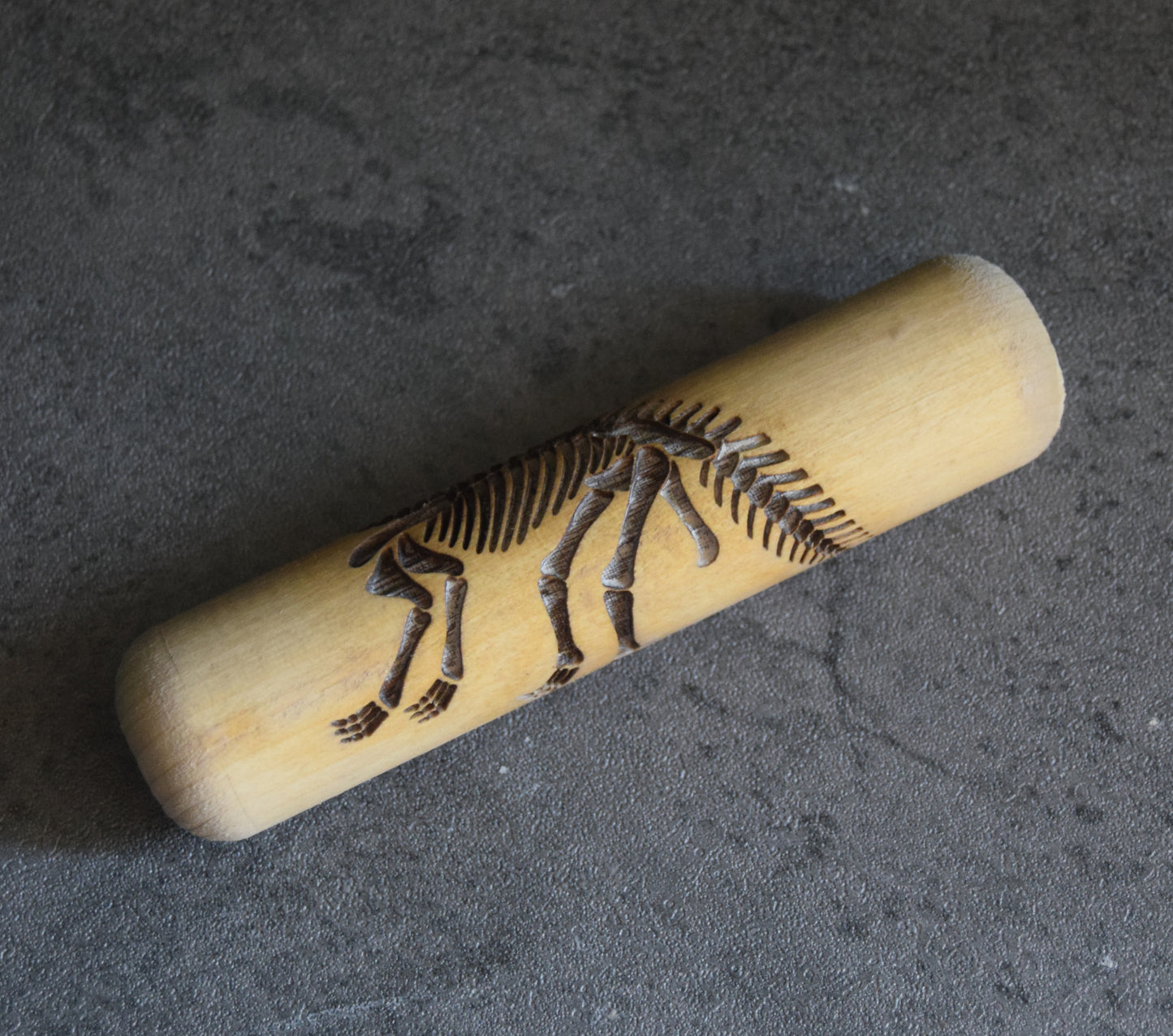 Z*Texture Roller- Plesiosaur Fossil