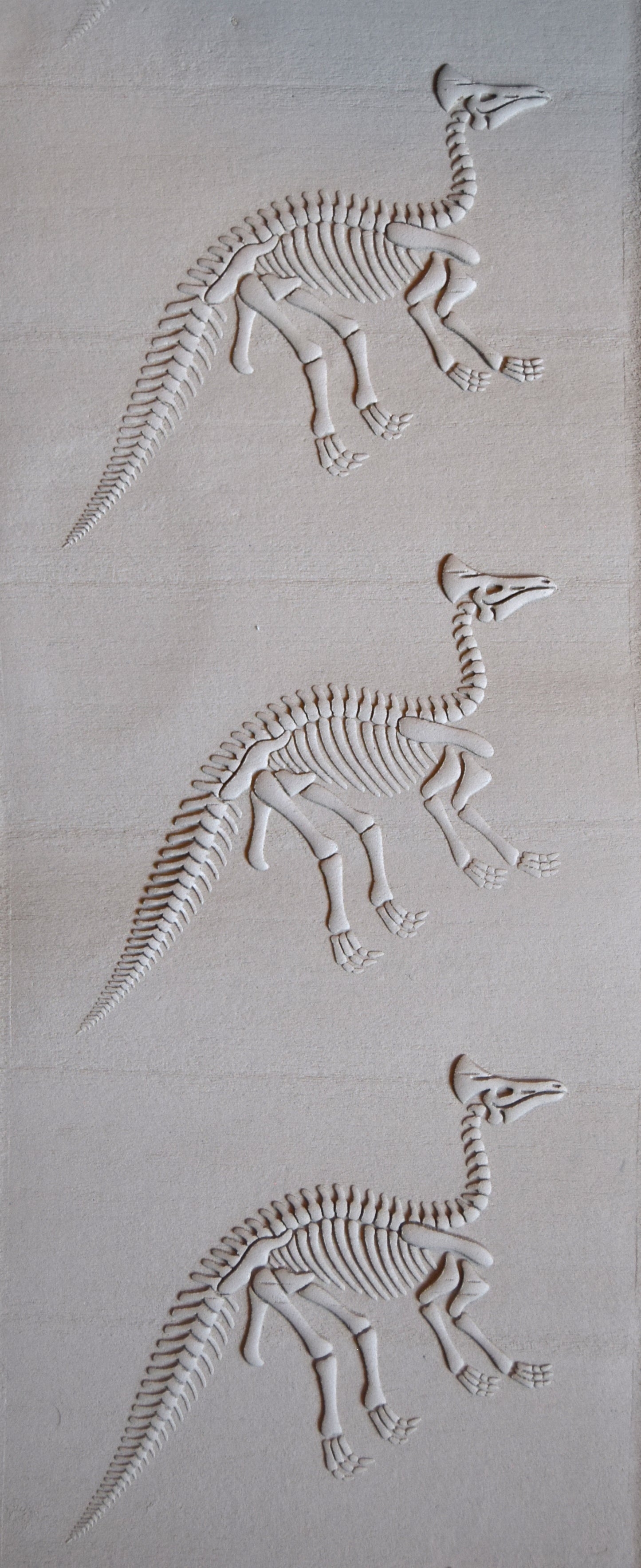 Z*Texture Roller- Olorotitan Fossil