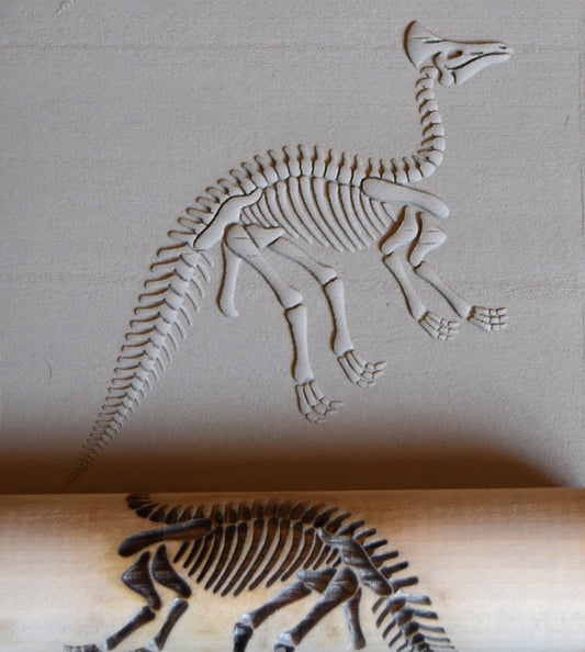 Z*Texture Roller- Olorotitan Fossil