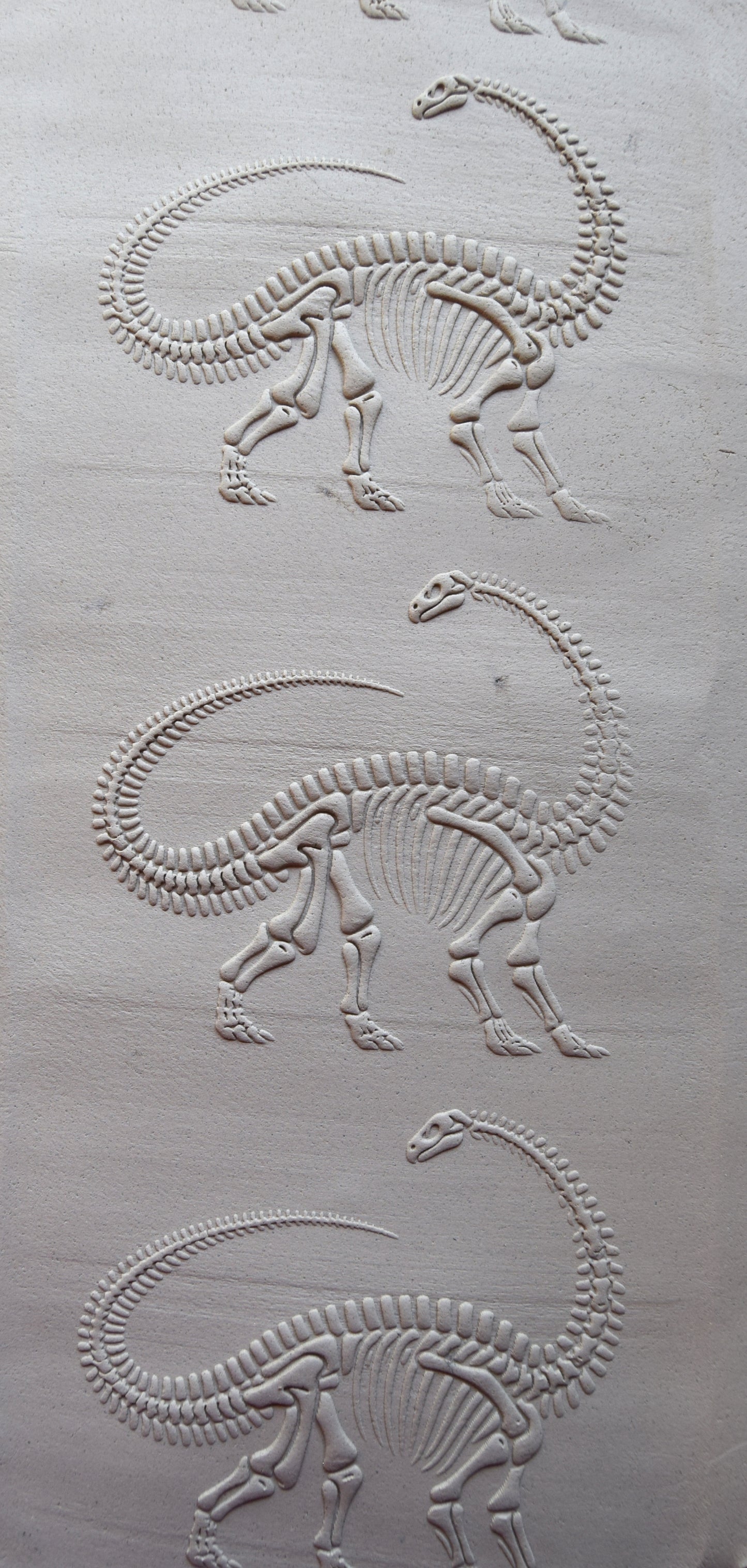 Z*Texture Roller- Brontosaurus Fossil