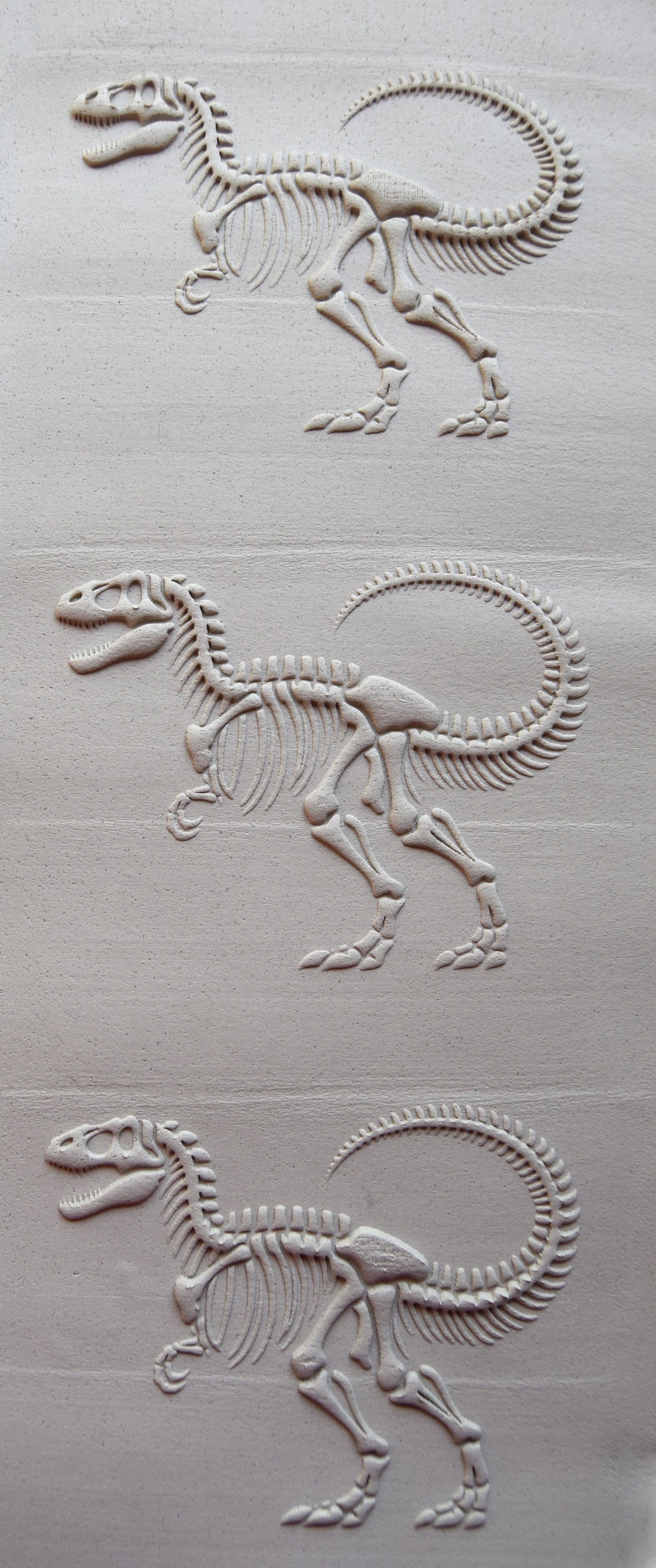 Z*Texture Roller- Allosaurus Fossil