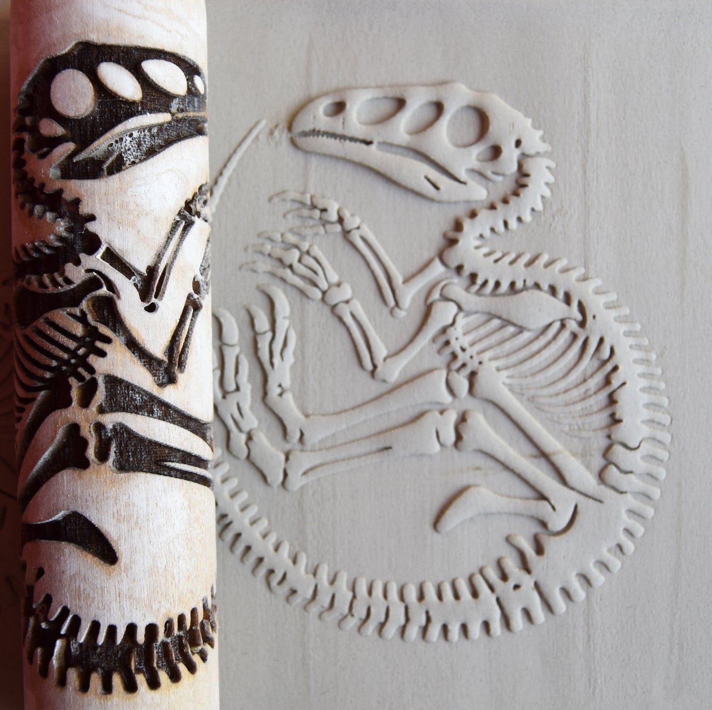 Z*Texture Roller- Compsognathus Fossil