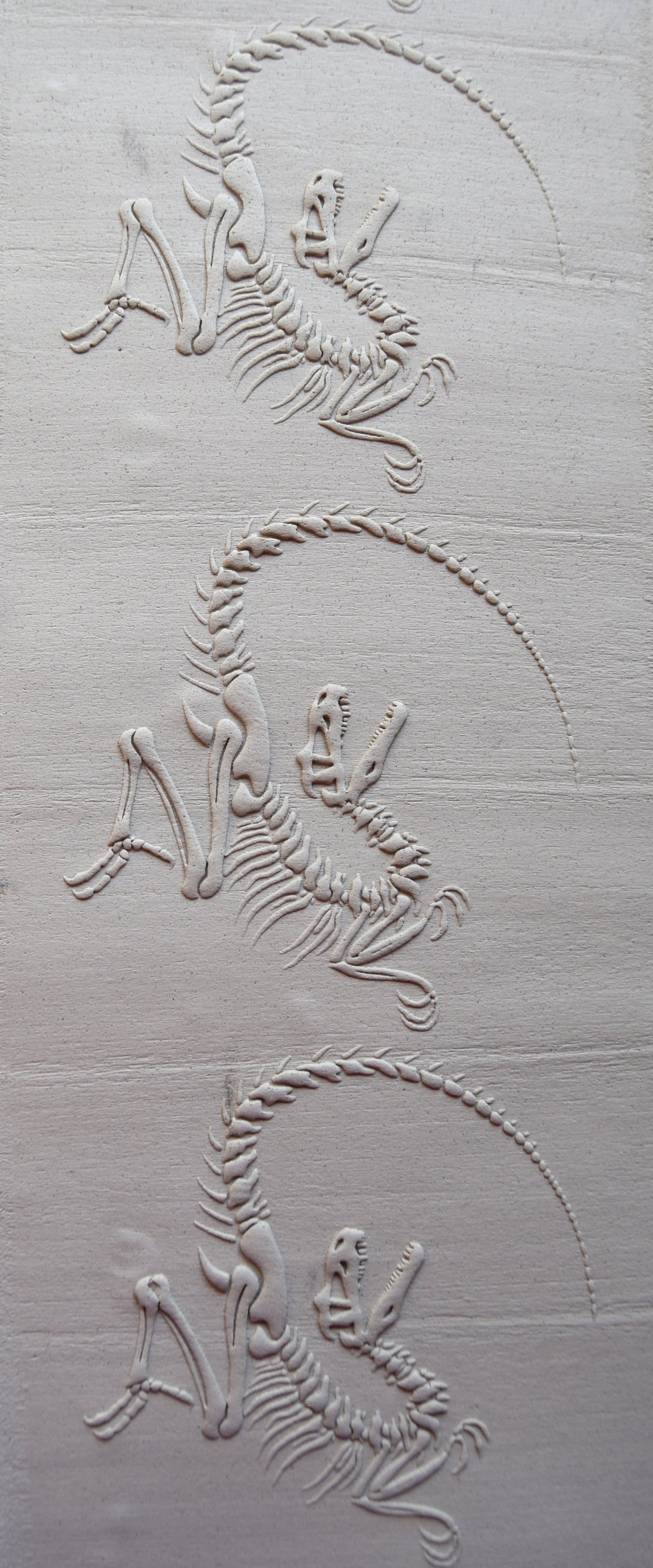 Z*Texture Roller- Twisted Raptor Fossil