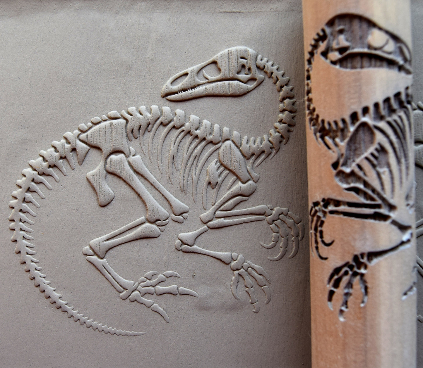 Z*Texture Roller- Ornithomimus Fossil