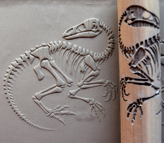 Z*Texture Roller- Ornithomimus Fossil