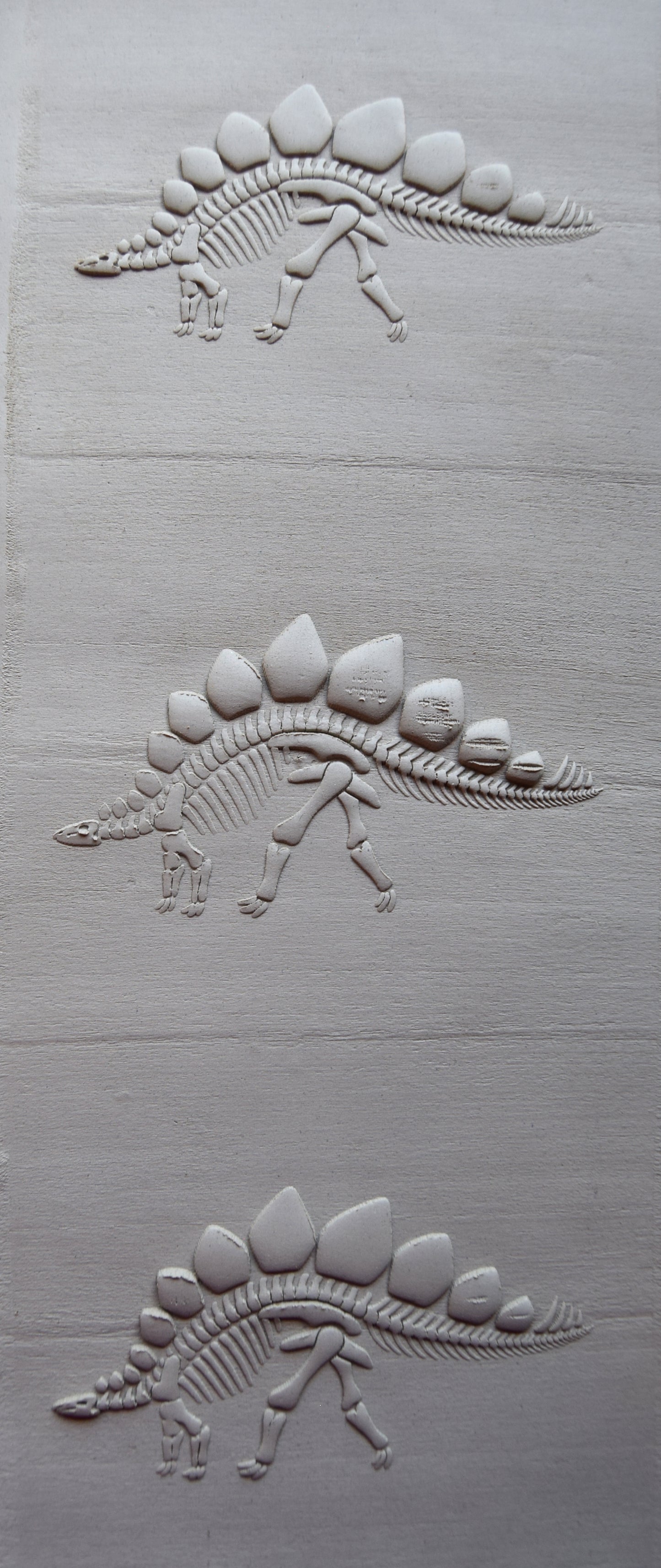 Z*Texture Roller- Stegosaurus Fossil