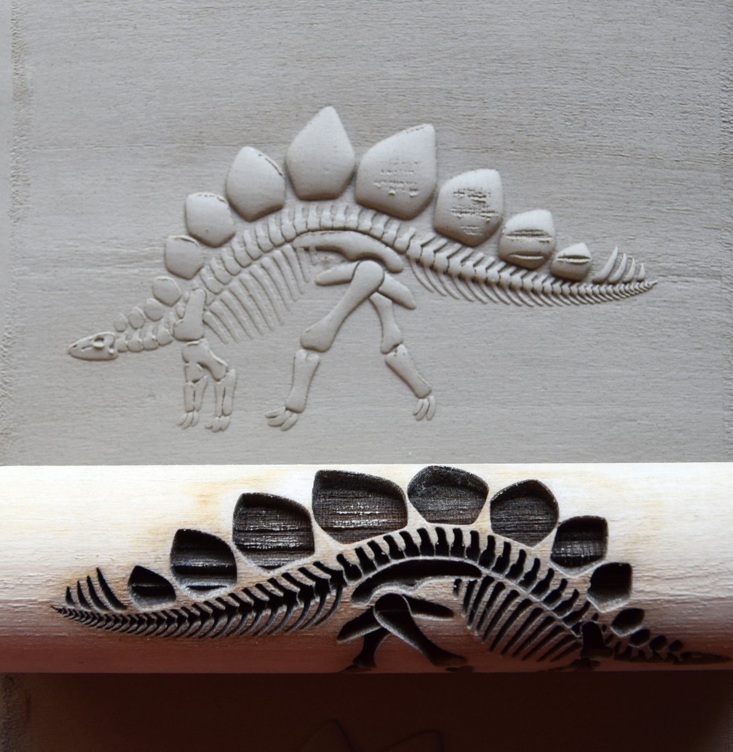 Z*Texture Roller- Stegosaurus Fossil