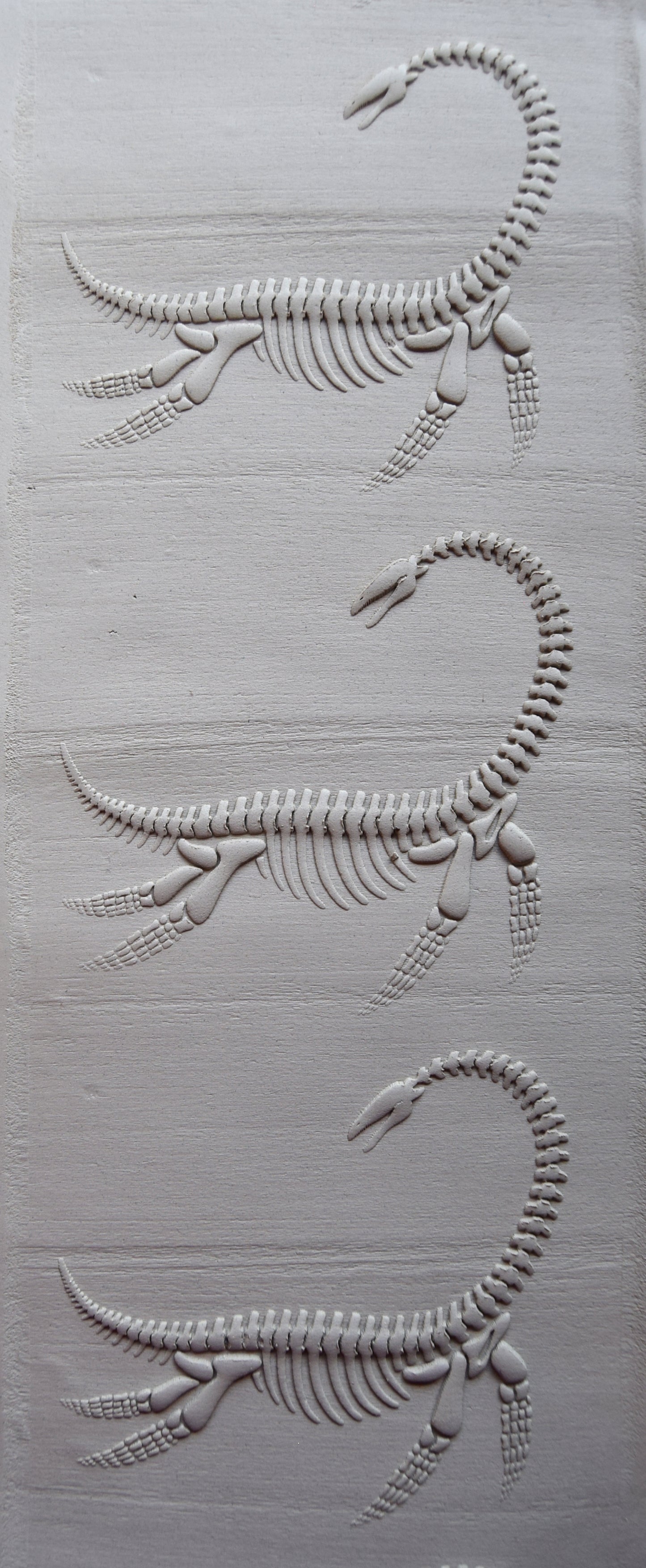 Z*Texture Roller- Plesiosaur Fossil