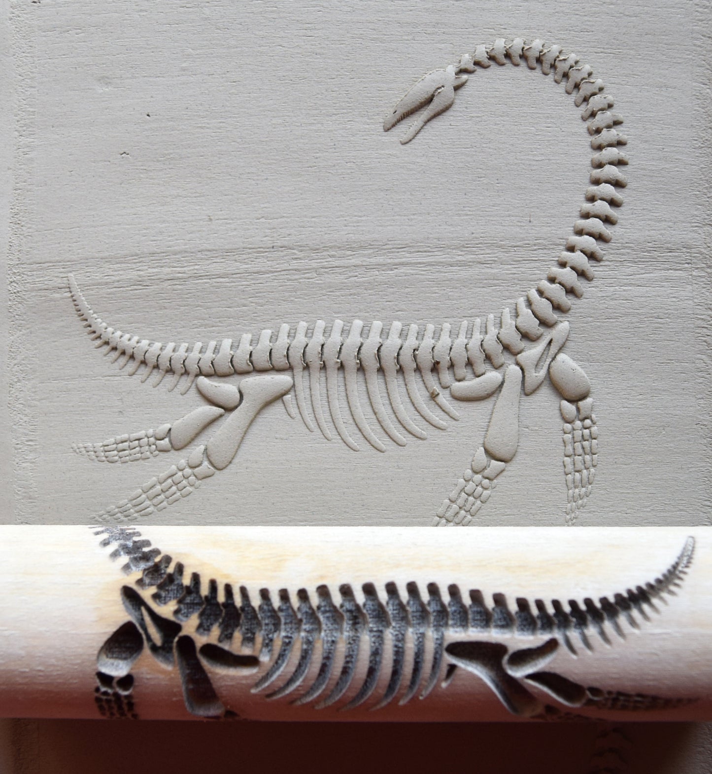 Z*Texture Roller- Plesiosaur Fossil