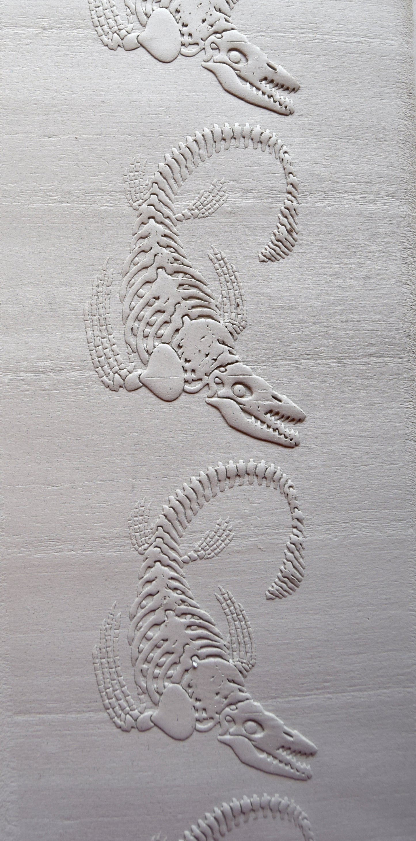 Z*Texture Roller- Mosasaur Fossil