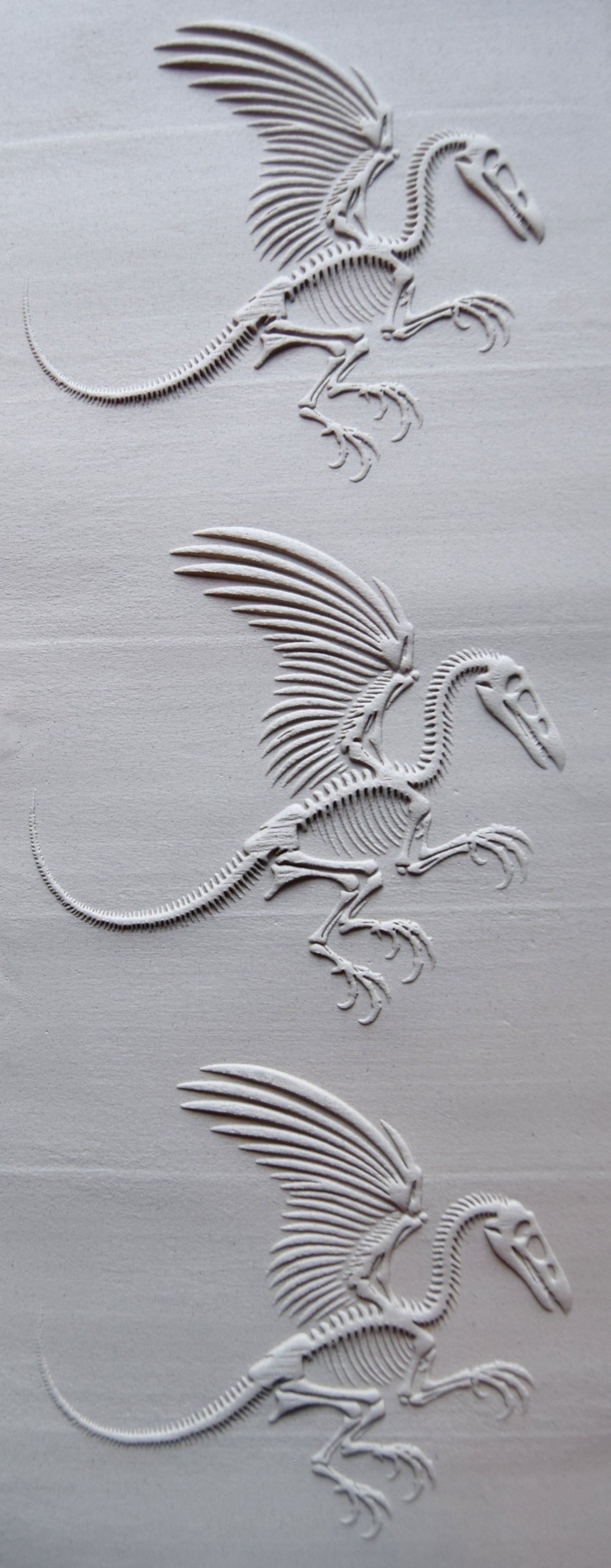 Z*Texture Roller- Dragon Fossil