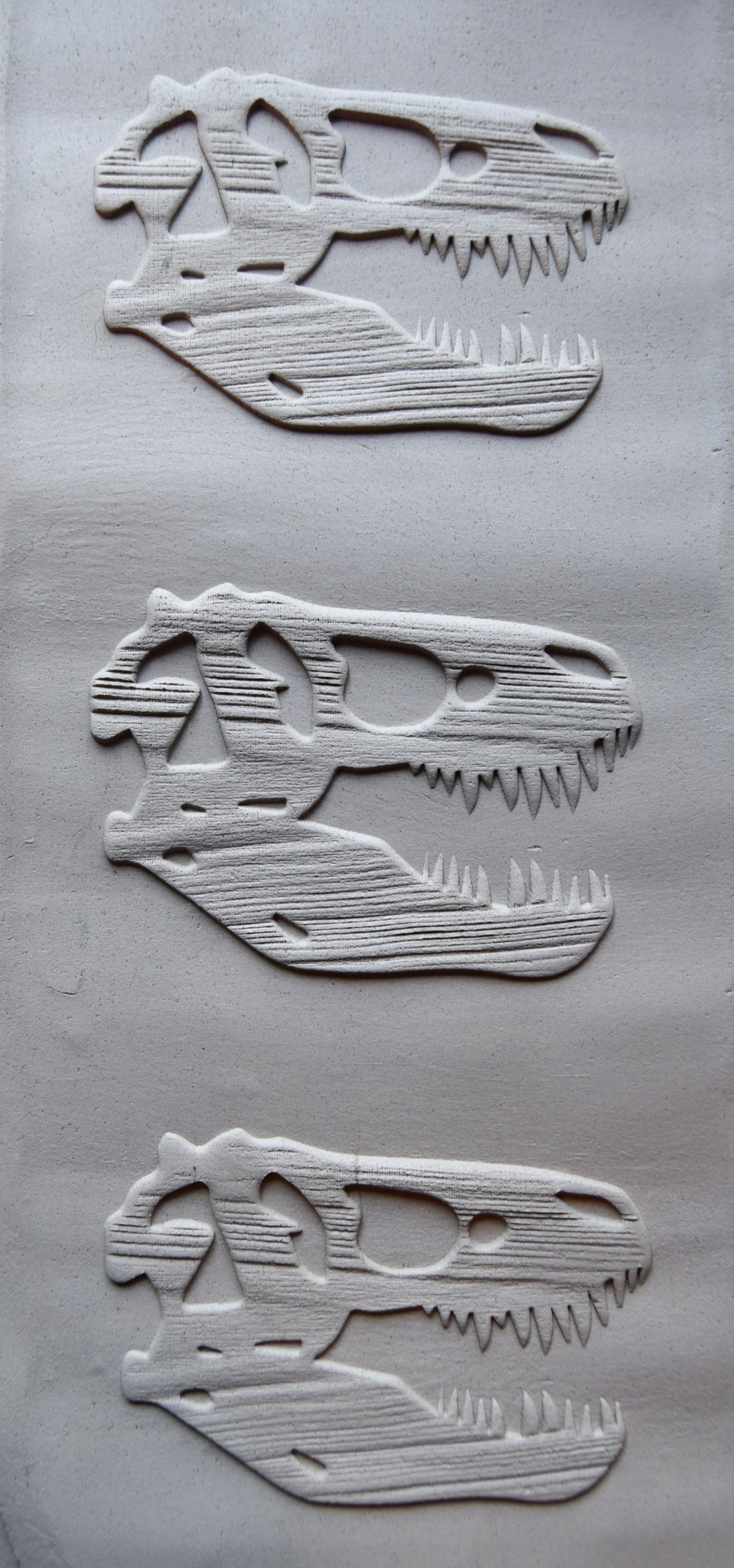 Z*Texture Roller- T Rex Skull Fossil