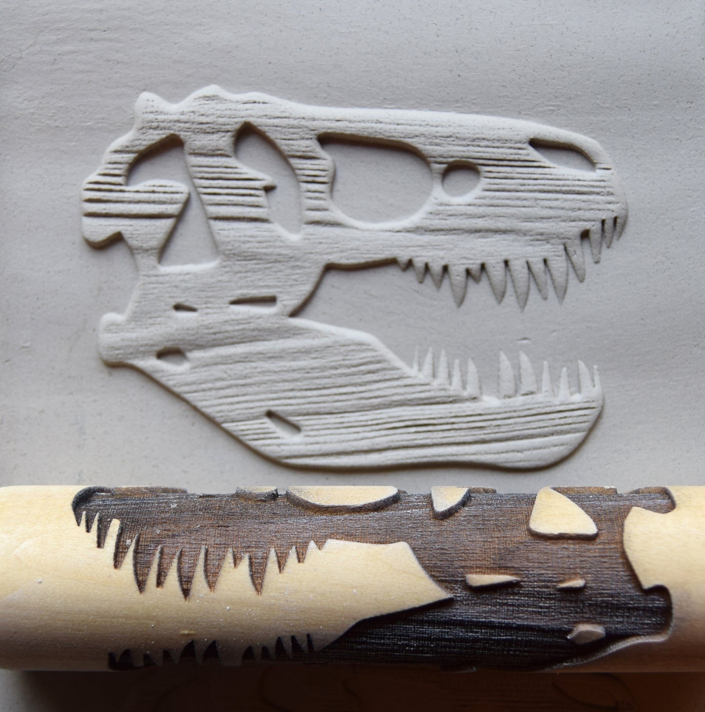 Z*Texture Roller- T Rex Skull Fossil