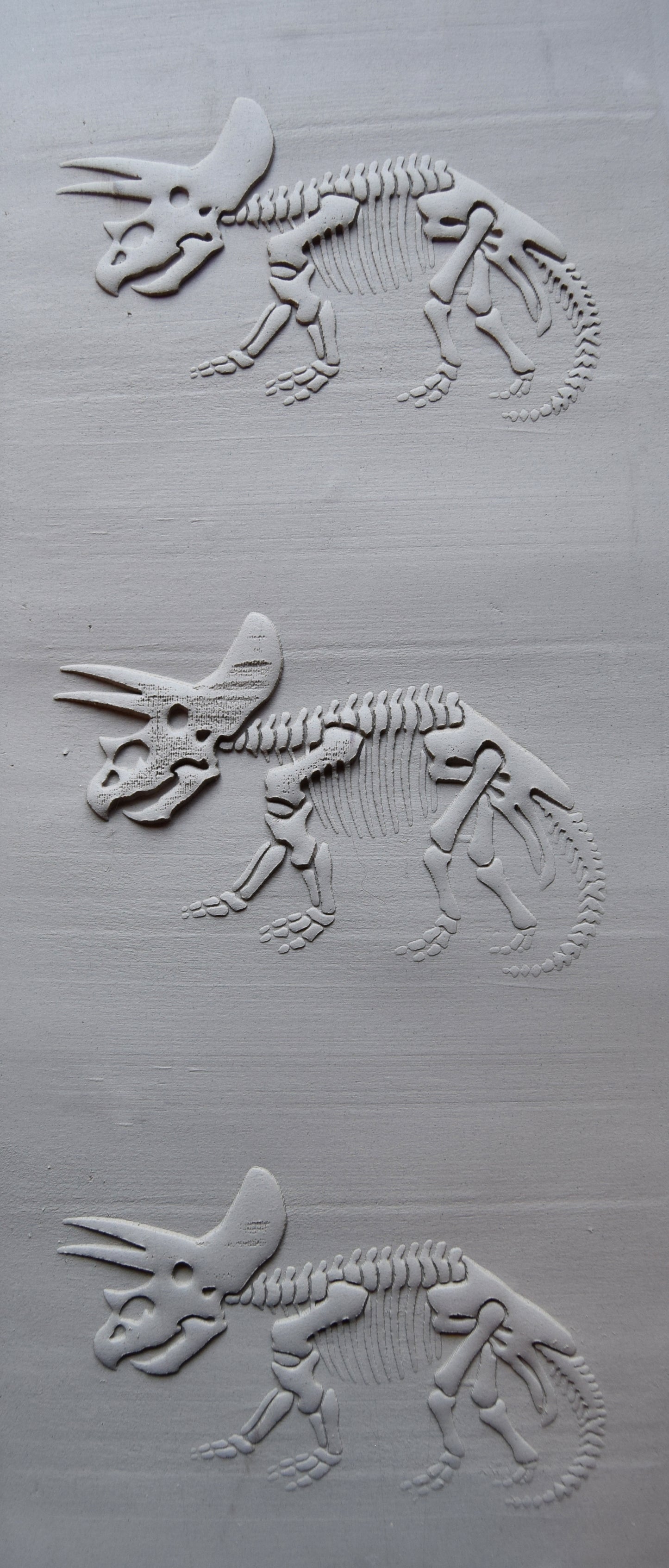 Z*Texture Roller- Triceratops Fossil