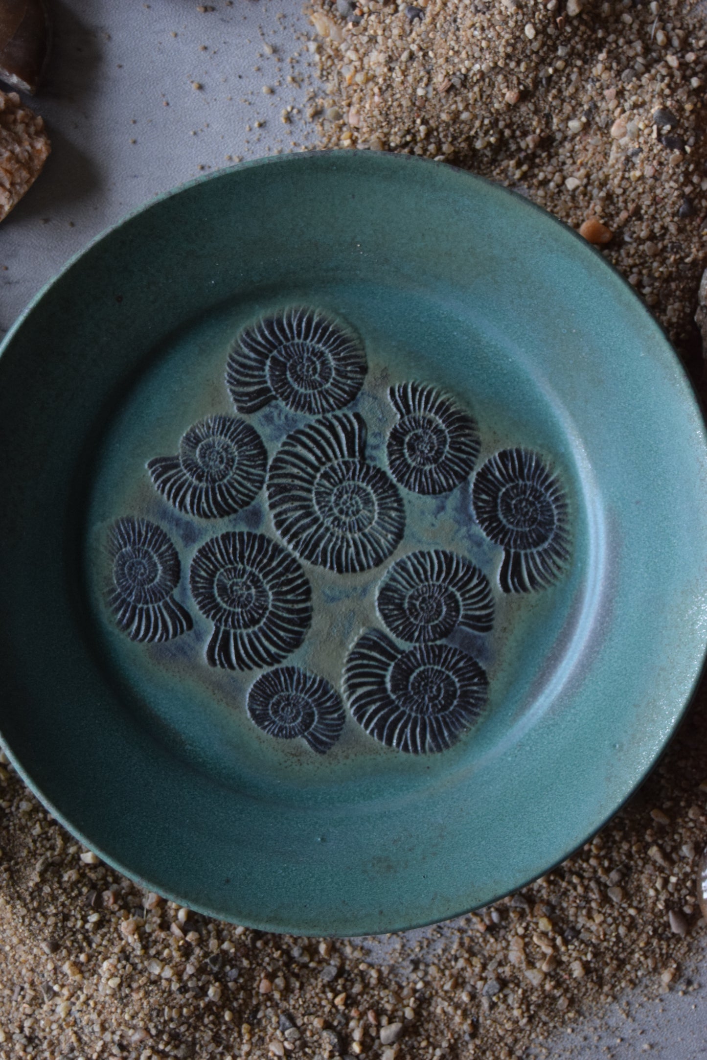 Fossil Trinket Plate 03