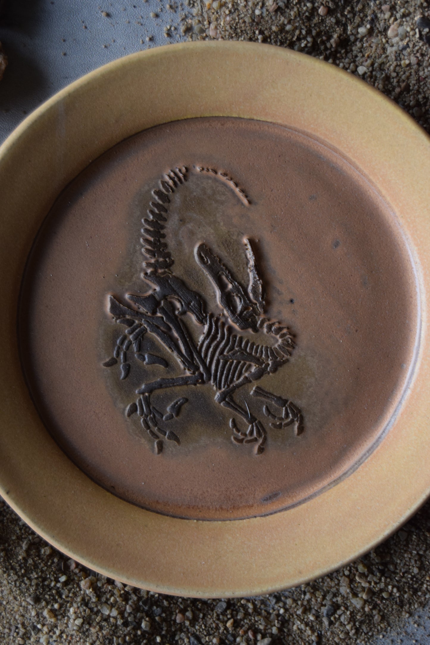 Fossil Trinket Plate 06