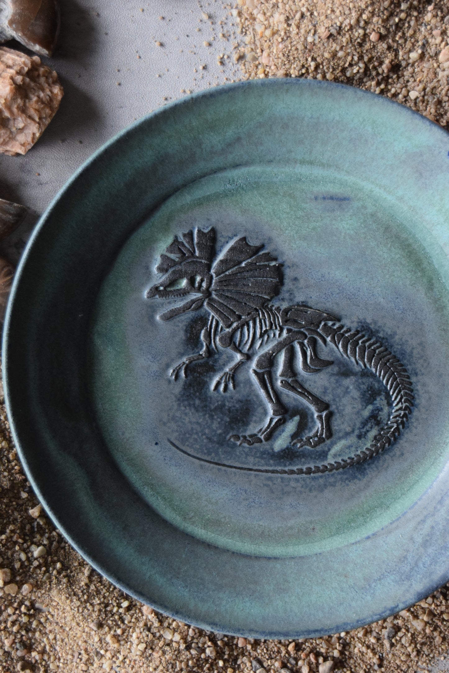 Fossil Trinket Plate 13