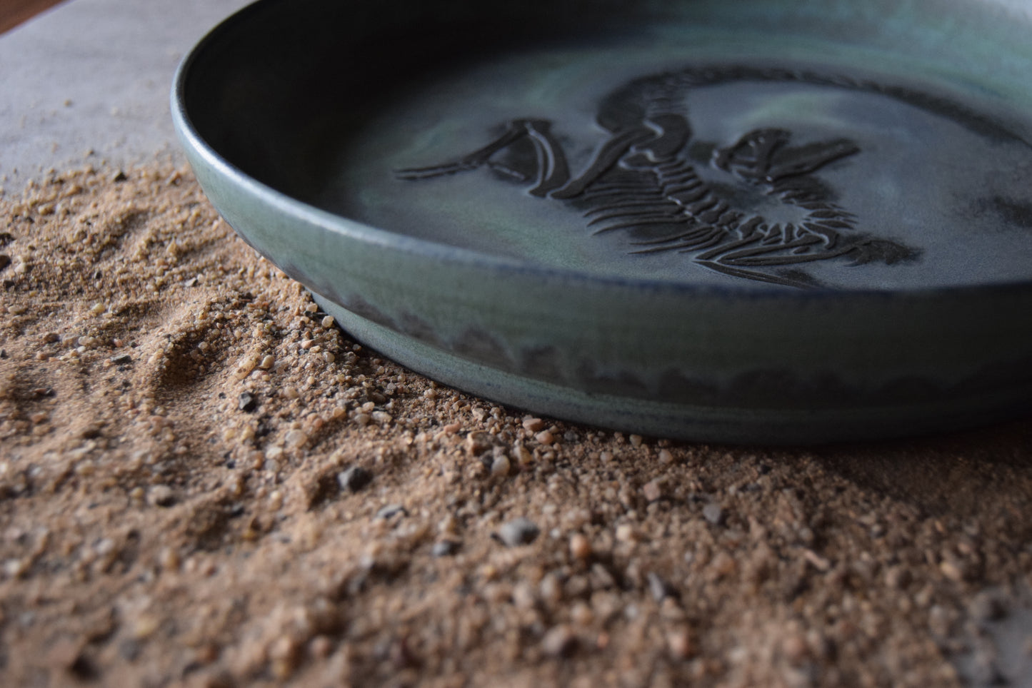 Large Fossil Plate 01