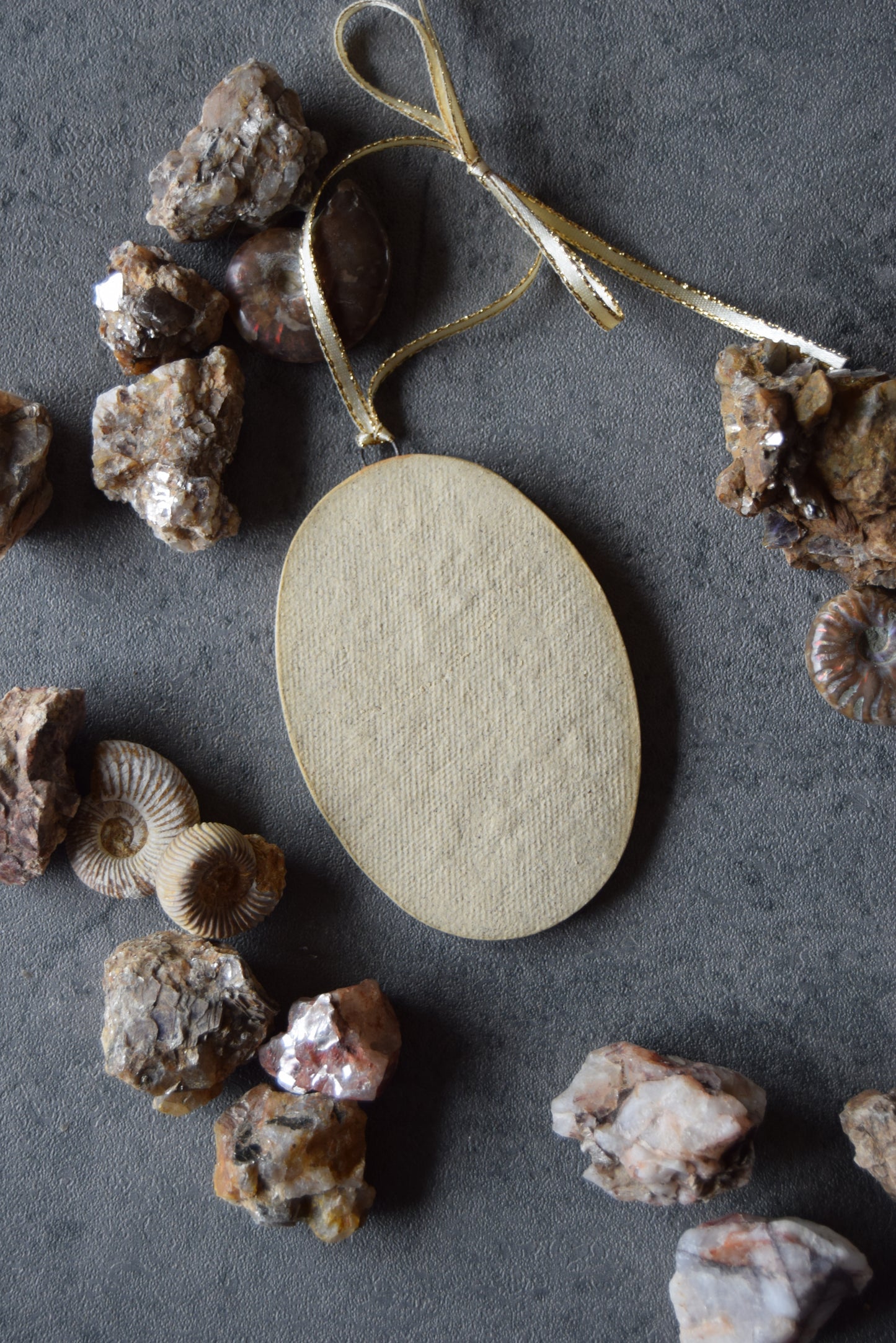 Fossil Ornament 06