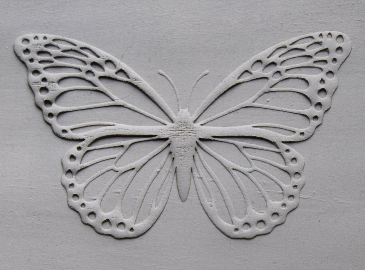 Z*Texture Roller- Monarch Butterfly