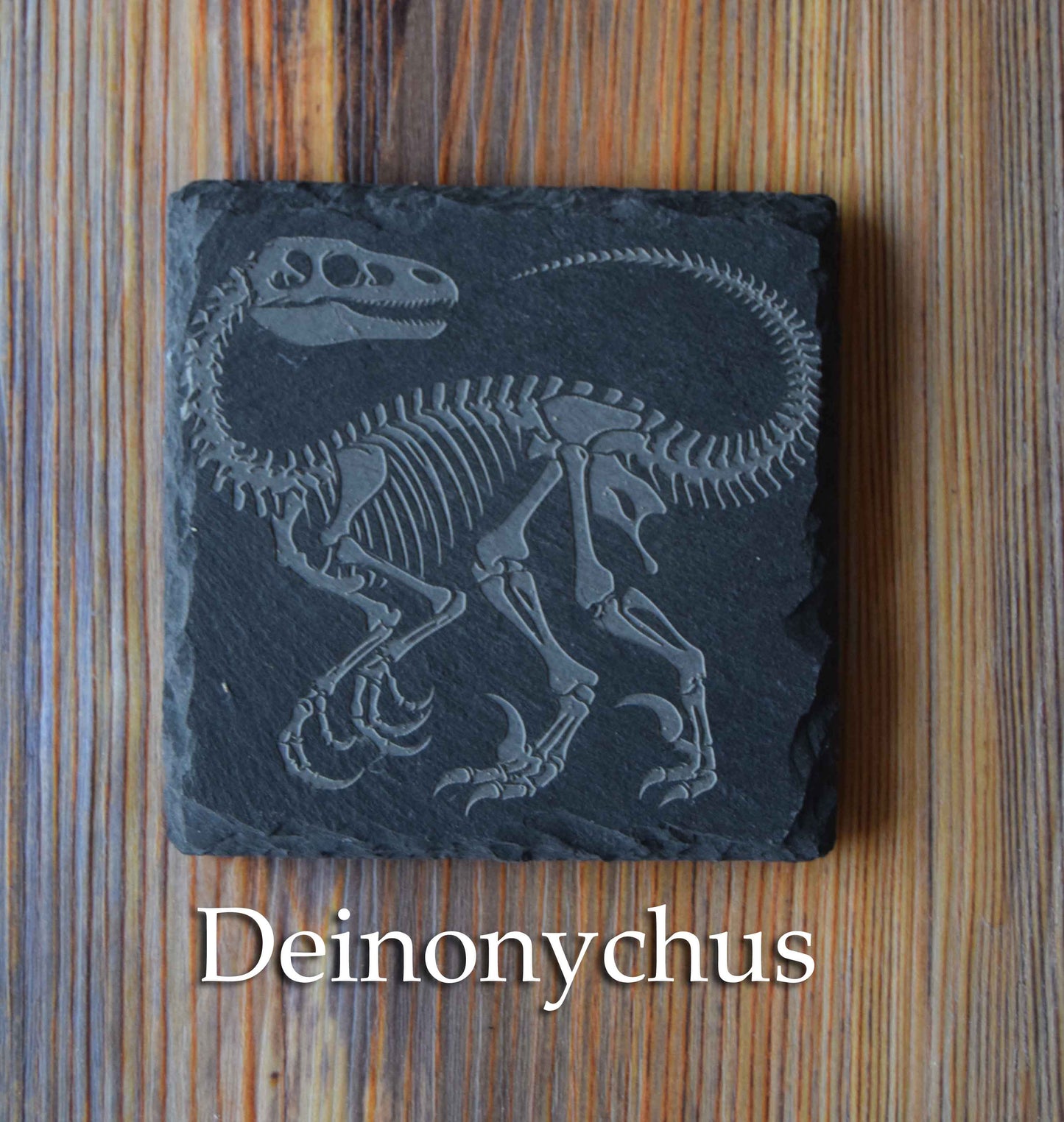 Z* Sous-verres fossiles