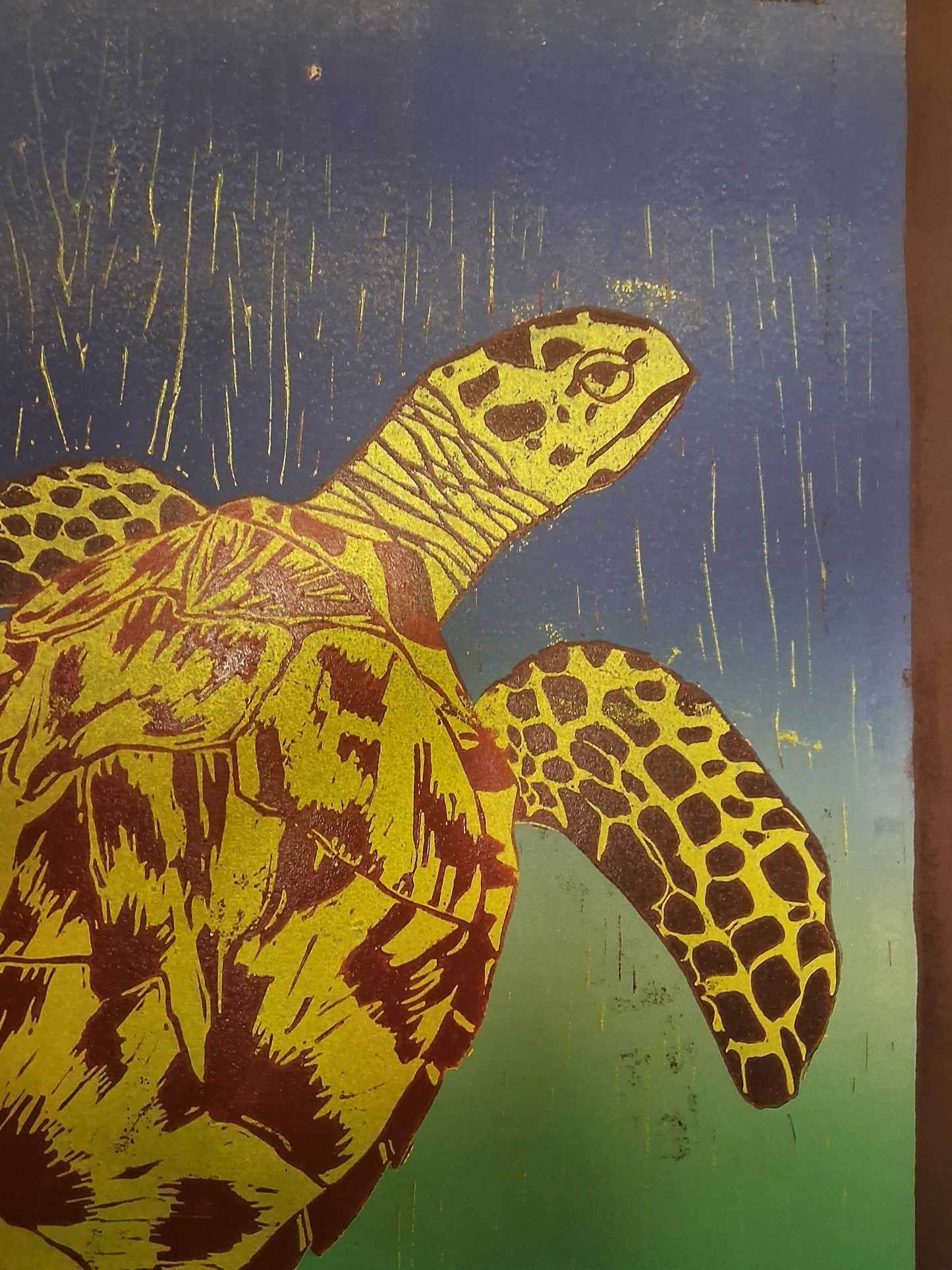 Nicole Chavez- Natural Hawksbill Sea Turtle
