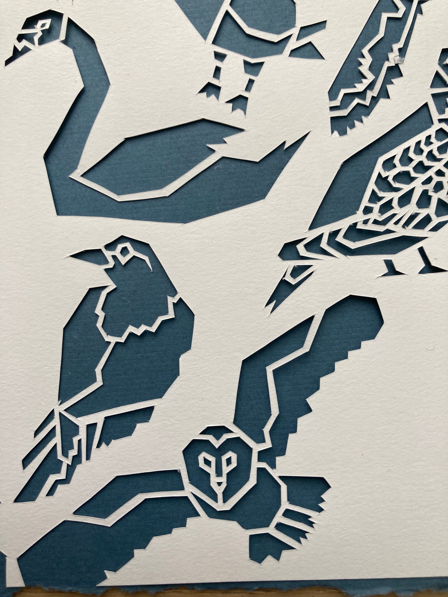 Joelle Cook- Heart of Birds