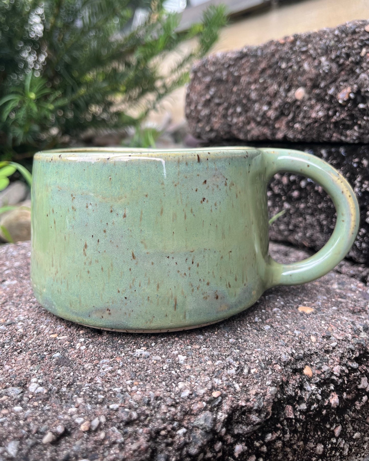 Lauren Hollowniczky- Amur Leopard Mug