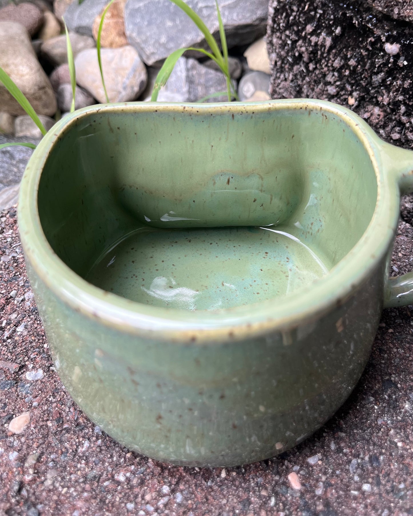 Lauren Hollowniczky- Amur Leopard Mug