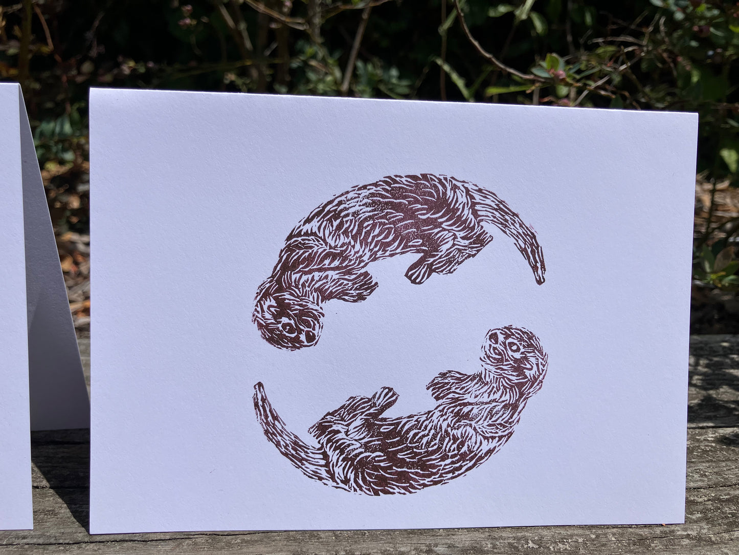 Gillian Ashenfelter- Playful Otter Card Set