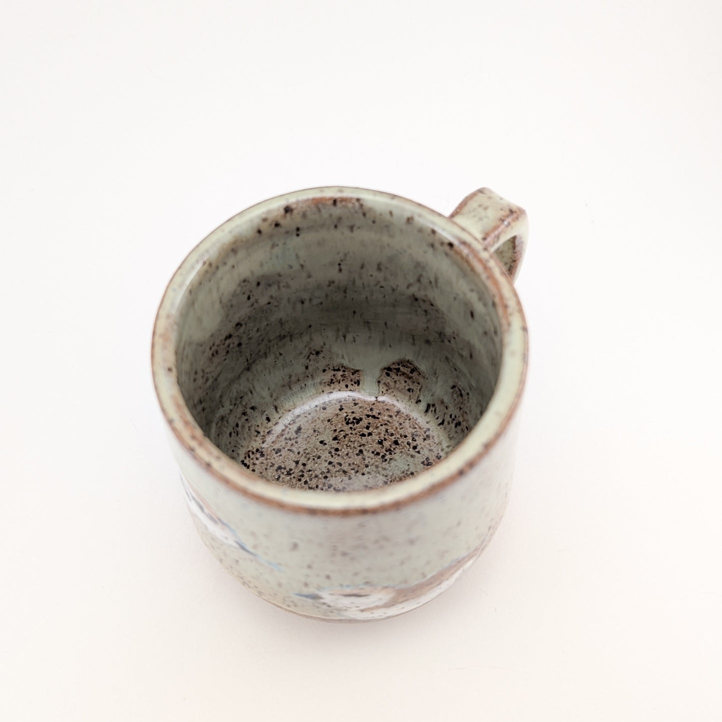 Tu Huynh- Snowy Plovers on Beach Mug