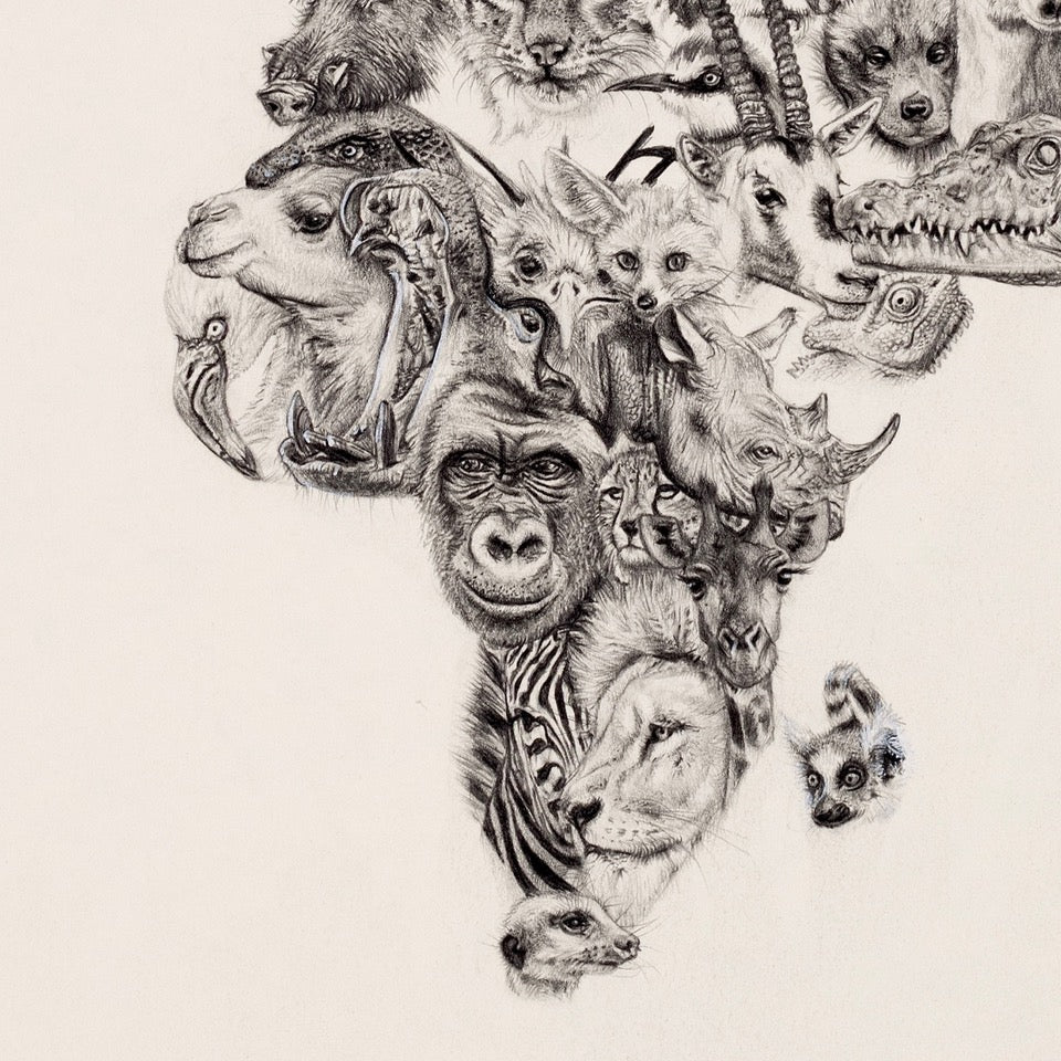 Ali Hassan- Wildlife of the World