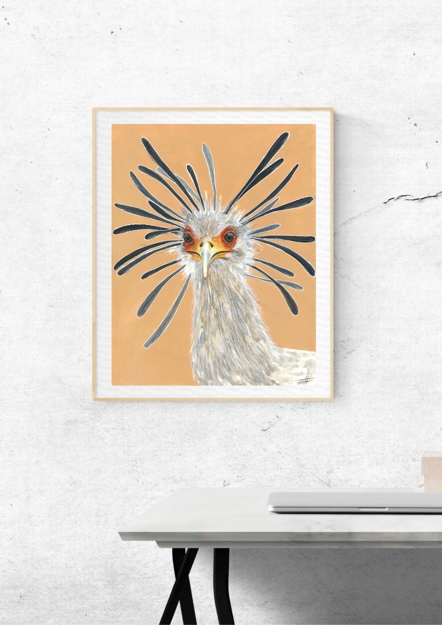 Elodie Guéguen-Teil- Secretarybird (Sagittarius serpentarius)