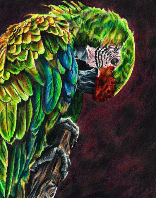 Kelly Coates- Verdant Wings