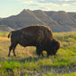 Black Hills Retreat Reservation (Deposit Only)