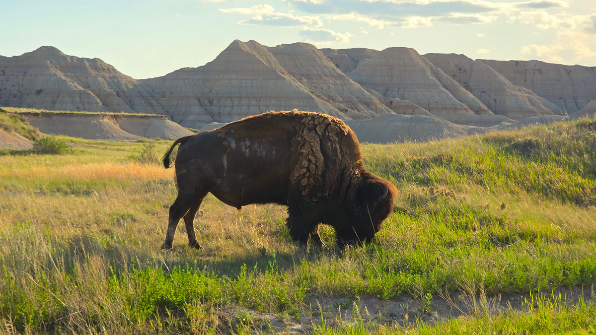 Black Hills Retreat Reservation (Deposit Only)