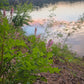Black Hills Retreat Reservation (Deposit Only)