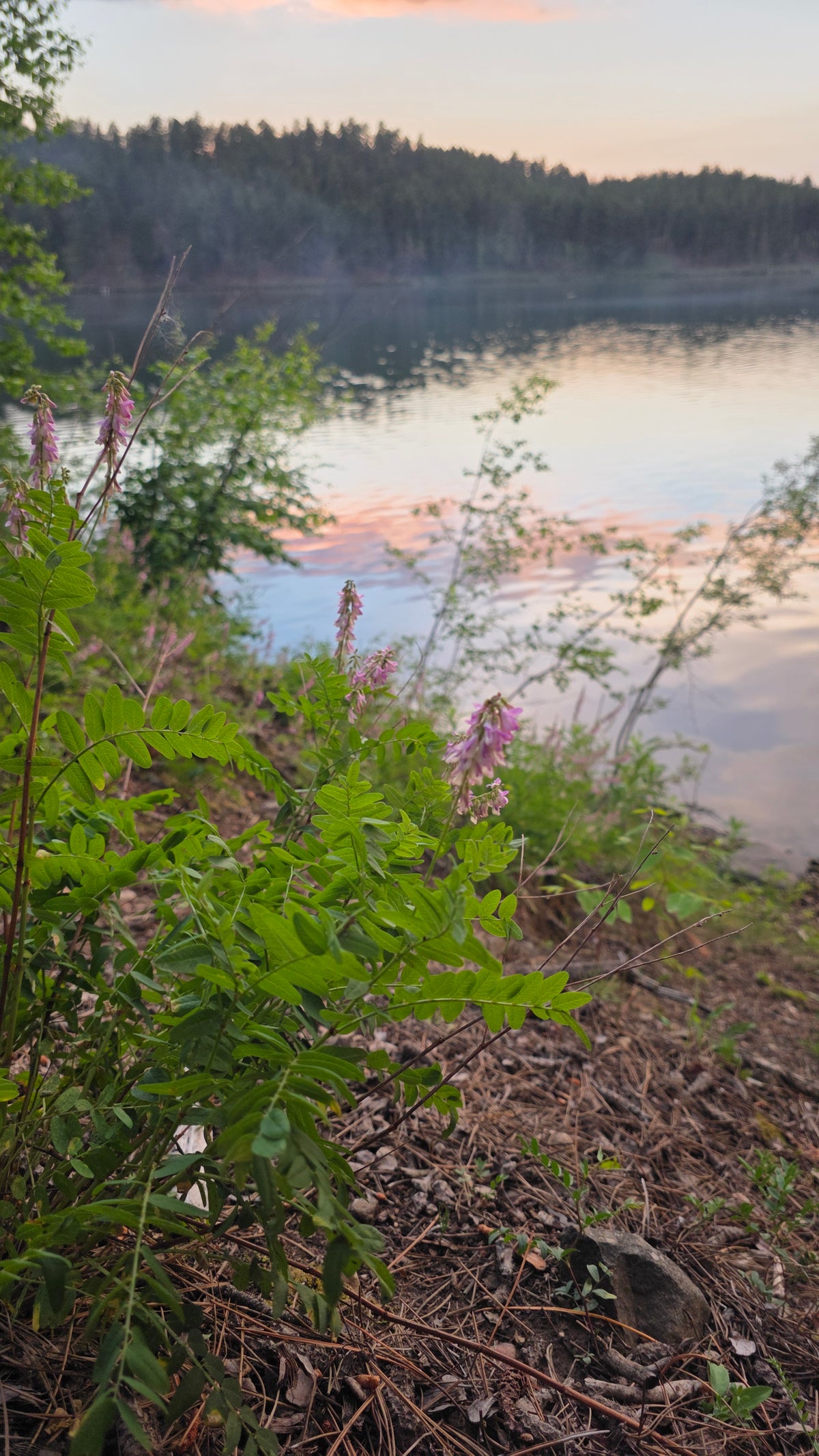 Black Hills Retreat Reservation (Deposit Only)