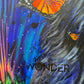 Kirsten Latimer- Wonder