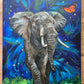 Ali Hassan- Fauna mundial