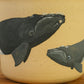 Amy Hein- Northern Atlantic Right Whale Mug