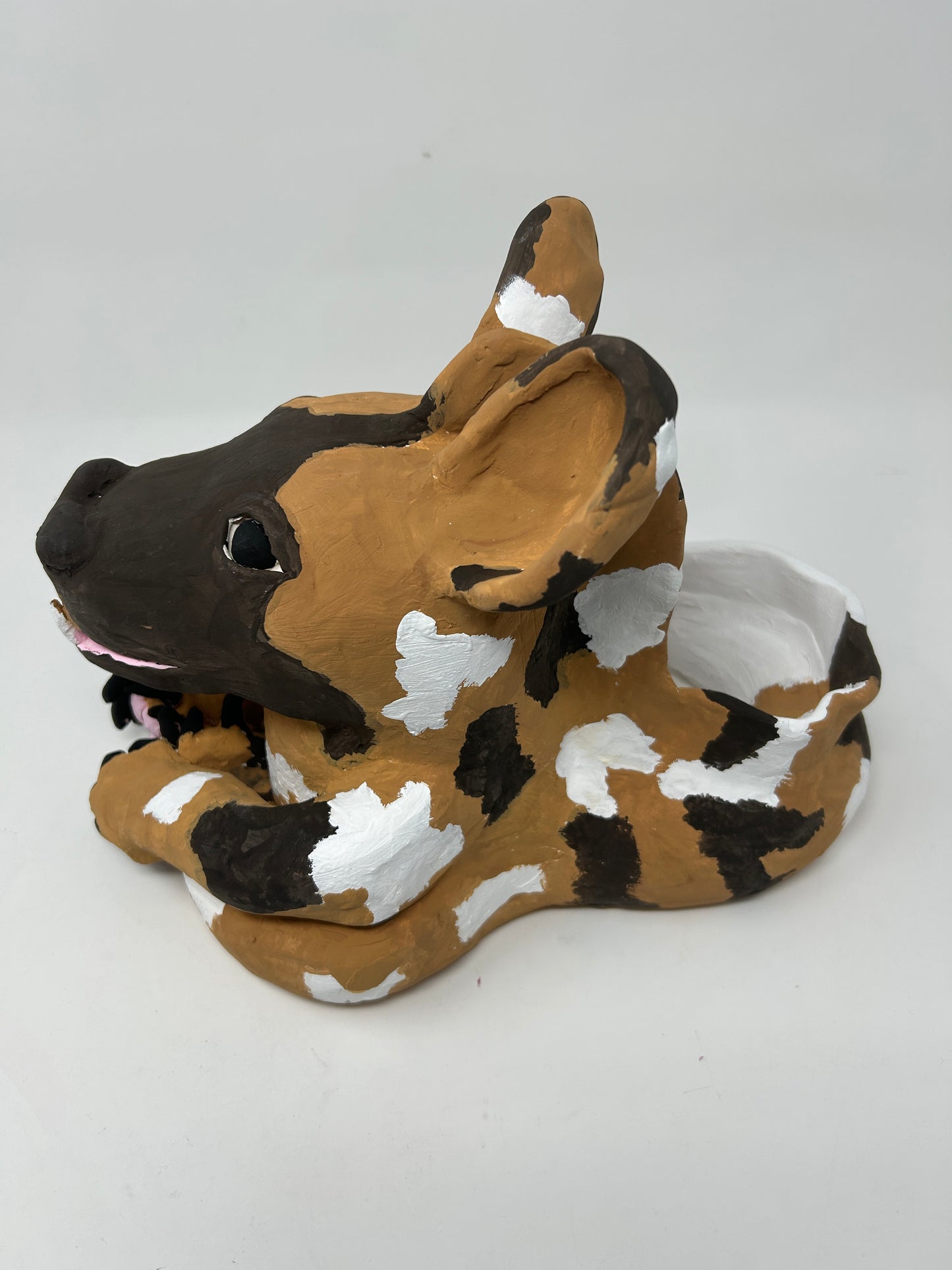 Alyssa Danielle- Axolotl and African Wild Dog