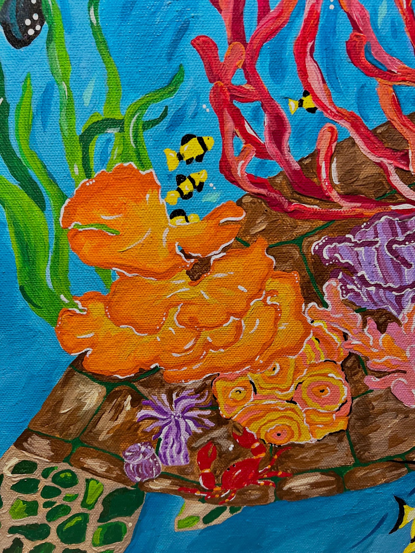 Amanda Craig-Sea Turtle Coral Reef